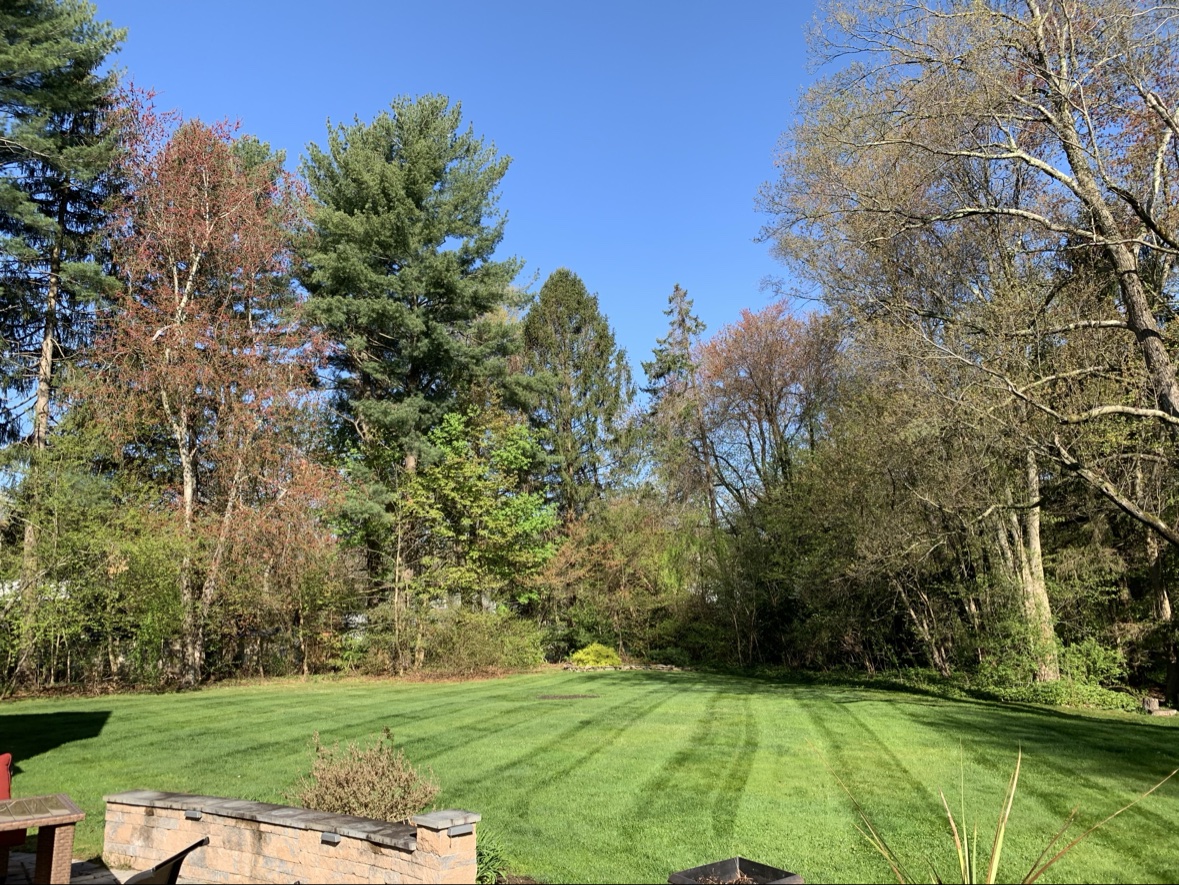 Striped lawn beside a patio wall